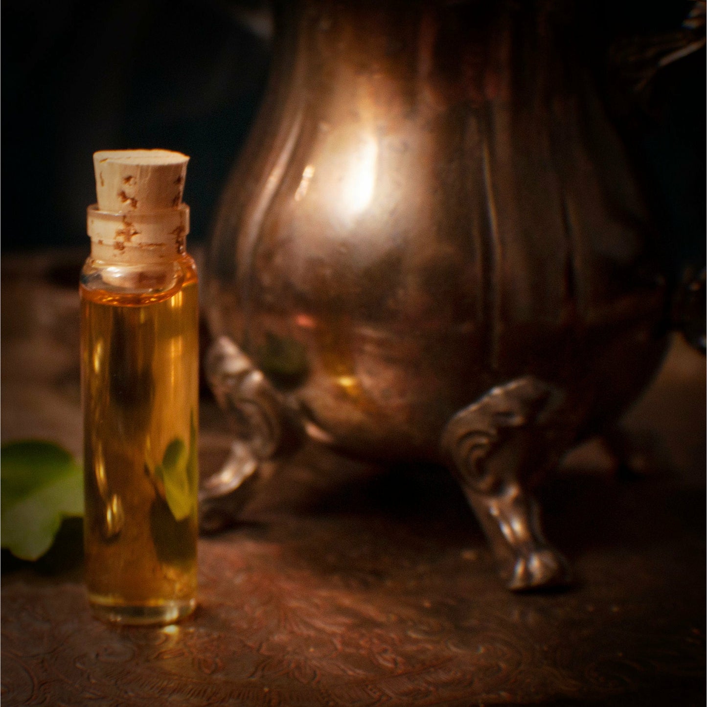 The Last Sip of Absinthe - Spiced Botanical Fragrance